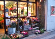 「つちや花店」　（奈良県北葛城郡王寺町）の花屋店舗写真1